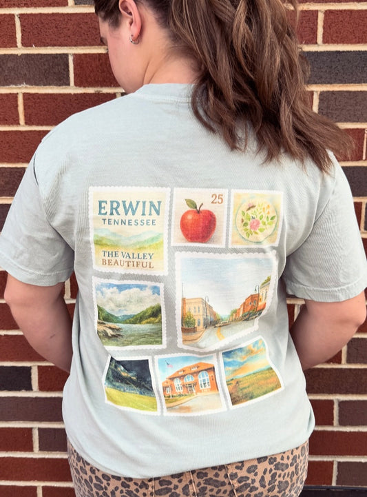 Erwin 37650 Comfort Color Tee